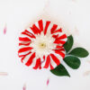 Organic cotton white and red stripes scrunchie with flower inside