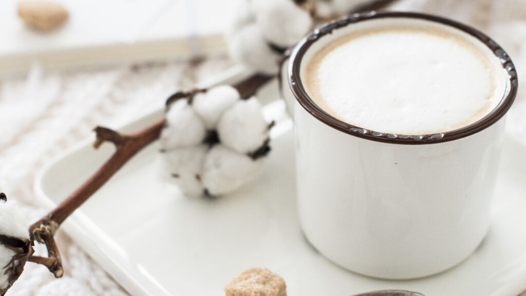 Cup of coffe and branch of cotton