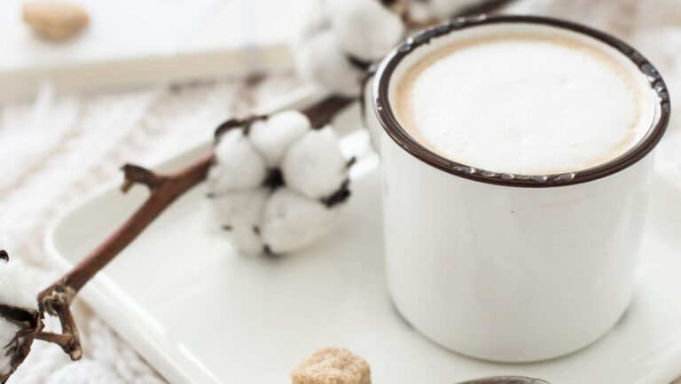 Cup of coffe and branch of cotton