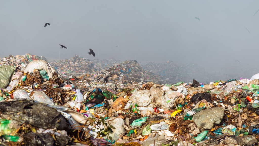 What happens to our clothes at the end of their lives